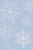 Stock Photo of Snowflakes x12355492 - Search Stock Photography, Print Pictures, Images, and