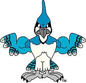 Angry Blue Jay