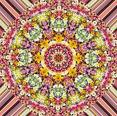 Flower Kaleidoscope Stock Photograph | u23918616 | Fotosearch